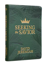 Seeking the Savior Image