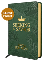 Seeking the Savior - Large Print  Image